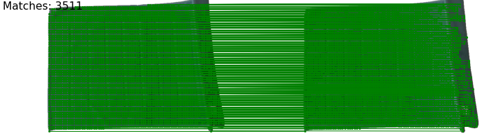 Interpolate start reference image.