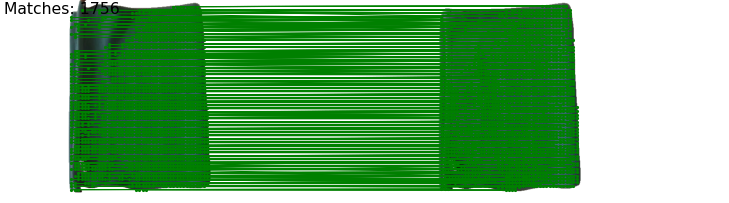 Interpolate start reference image.