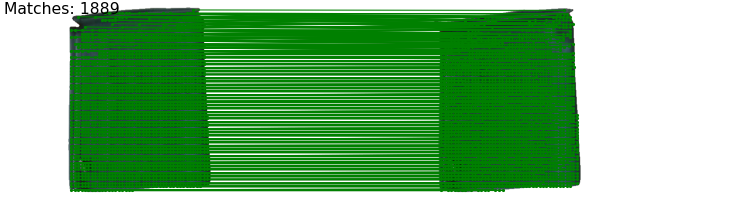 Interpolate start reference image.